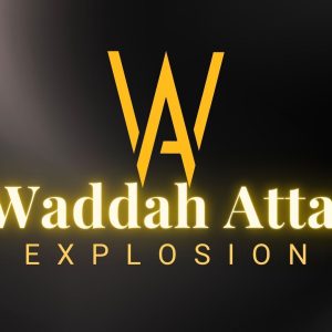 Waddah Attar Explosion Pro image 2 software indicator for ["TrendFollowing"]