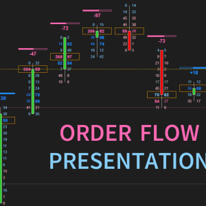Order Flow Presentation (Footprint Chart) image 2 software indicator for ["PriceAction"]